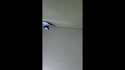 Snapshot of lopezpedro2791 chatting on 01/08/26, 05:10 2791 3D online show from 01/08/26, 05:10