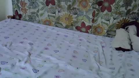 lora_amor online show from 04/30/26, 09:26