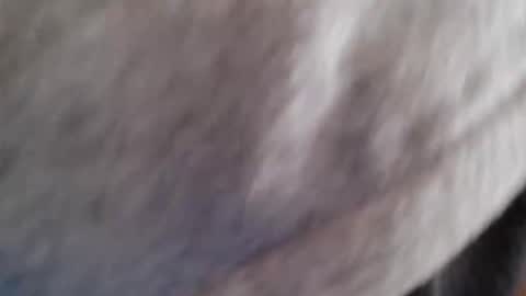 lordhealt online show from 04/30/26, 01:17