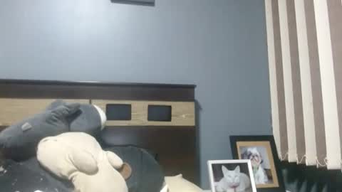 Louis bear online show from 11/16/25, 03:45