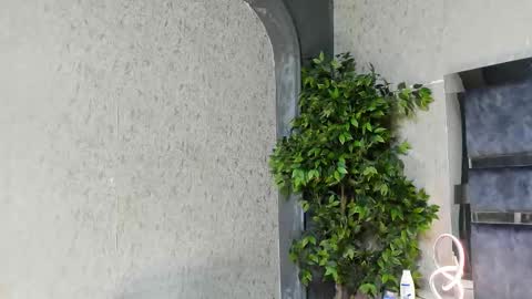 Louis online show from 11/25/25, 06:02