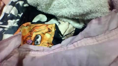 lovaelisa online show from 11/02/25, 02:52