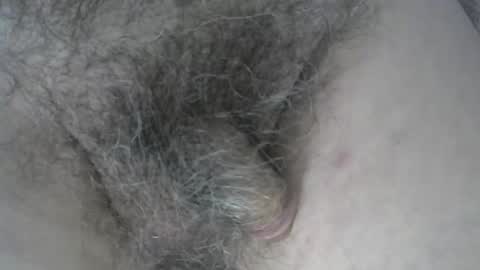 loveabush49 online show from 11/05/25, 08:53