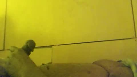 lovebignip online show from 02/24/26, 11:41