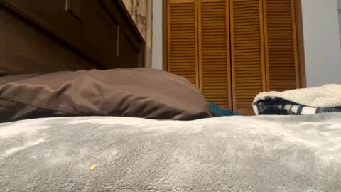 Amber online show from 02/12/25, 01:27