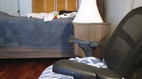 Amber online show from 11/03/25, 03:19