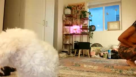 Snapshot of lovelyxmacii chatting on 05/08/26, 02:39 lovelyxmacii online show from 05/08/26, 02:39