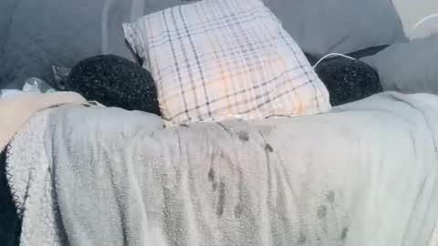 Snapshot of lovestobeused2 chatting on 02/17/26, 02:19 lovetobeused online show from 02/17/26, 02:19