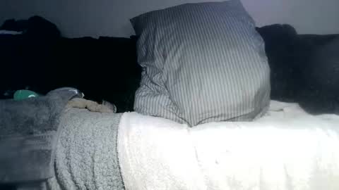 lovetobeused online show from 05/04/26, 03:02