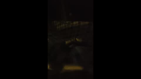 lspd359 online show from 04/13/26, 01:22