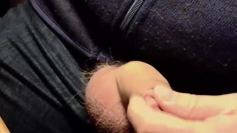 Snapshot of lt645 chatting on 12/07/24, 08:11 Lt645 online show from 12/07/24, 08:11