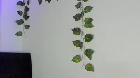 Snapshot of luaar_moon chatting on 02/04/26, 01:44 Jenn online show from 02/04/26, 01:44