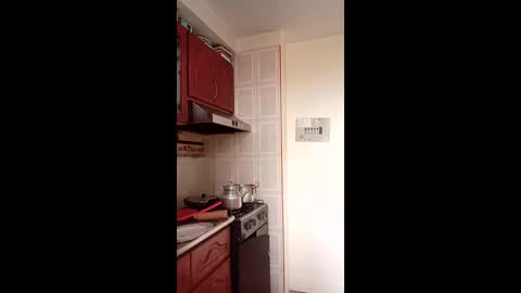 Snapshot of luanapowerful chatting on 01/15/26, 04:22 luanapowerful online show from 01/15/26, 04:22