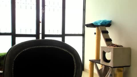 luara__01__lecat_1 online show from 11/24/25, 05:34