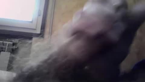 lucafava90 online show from 01/04/25, 09:32