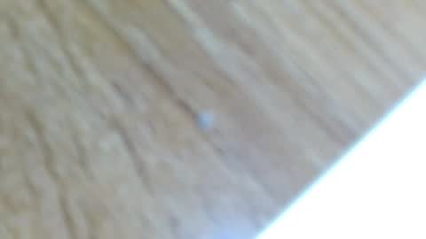 Snapshot of lucie_nicolls chatting on 12/13/24, 12:31 Lucie   online show from 12/13/24, 12:31