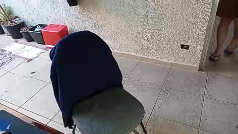 lucifer_curious online show from 10/24/25, 09:49