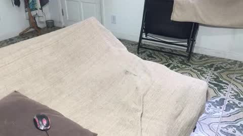 Snapshot of lucifer_curious chatting on 01/05/26, 08:45 lucifer_curious online show from 01/05/26, 08:45