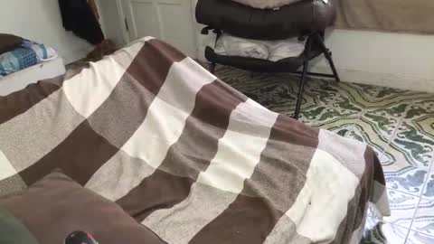 Snapshot of lucifer_curious chatting on 03/28/26, 04:39 lucifer_curious online show from 03/28/26, 04:39