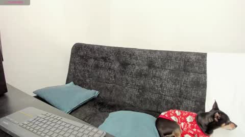 luci online show from 12/04/25, 07:11