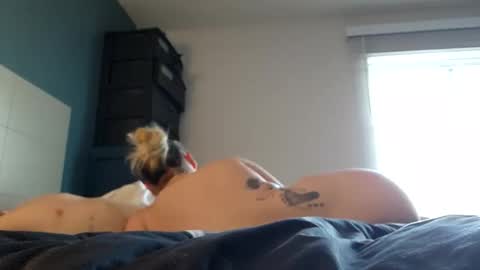 Snapshot of luckilyfound33 chatting on 03/12/26, 01:06 luckilyfound33 online show from 03/12/26, 01:06