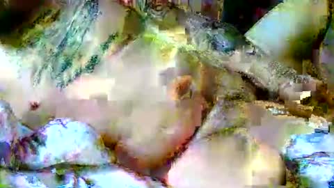 lucky134u online show from 04/06/26, 11:44