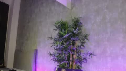 Snapshot of lucyrayy chatting on 02/04/26, 10:58 lucyrayy online show from 02/04/26, 10:58