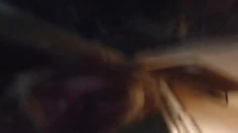 Snapshot of lucyvybes_and_gogert chatting on 03/04/25, 07:08 Lucy Vybes and Go-Gert online show from 03/04/25, 07:08