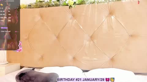 Snapshot of luisa_cameron chatting on 01/25/25, 08:10 online show from 01/25/25, 08:10