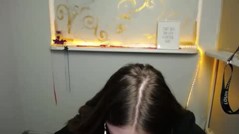 Snapshot of luizaheems_ chatting on 12/17/24, 11:17 Luiza online show from 12/17/24, 11:17