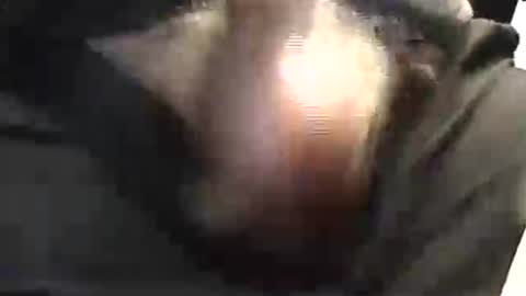 Snapshot of lukestarfckr chatting on 05/29/26, 01:53 lukestarfckr online show from 05/29/26, 01:53