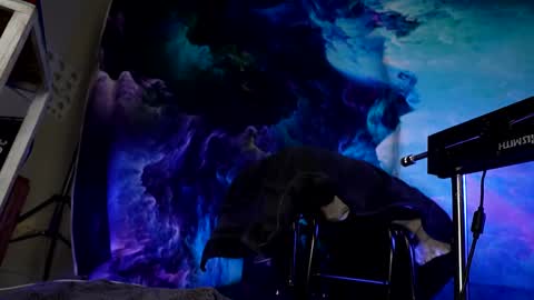 Snapshot of lukewilde chatting on 02/24/25, 11:32 lukewilde online show from 02/24/25, 11:32