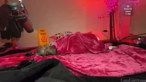 Snapshot of luna_luuvz chatting on 02/24/26, 03:37 Luna Luuvz online show from 02/24/26, 03:37