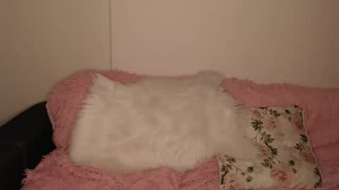 Luna online show from 02/13/26, 06:15