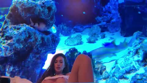 Snapshot of lunabex chatting on 02/18/26, 09:22 LunaBex online show from 02/18/26, 09:22