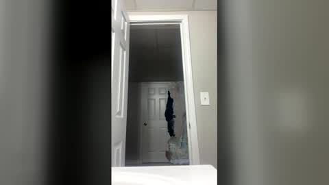 lunamoth00 online show from 12/15/25, 12:04