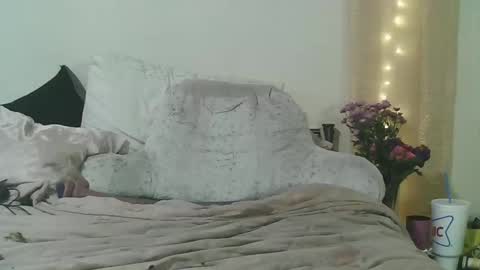 Snapshot of lunanova4 chatting on 03/04/26, 03:23 lunanova4 online show from 03/04/26, 03:23