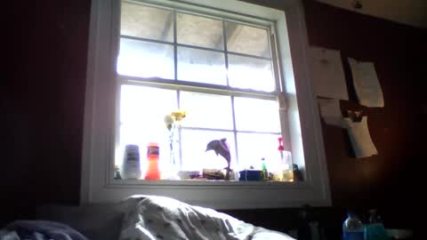 Snapshot of lunasecretadmirer chatting on 02/14/26, 07:21 lunasecretadmirer online show from 02/14/26, 07:21