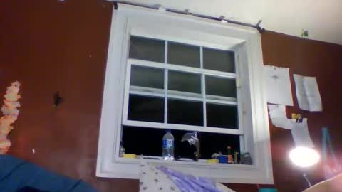 Snapshot of lunasecretadmirer chatting on 03/01/26, 05:31 lunasecretadmirer online show from 03/01/26, 05:31