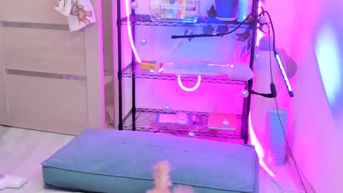 Snapshot of lunatale chatting on 02/14/25, 02:18 Kate online show from 02/14/25, 02:18