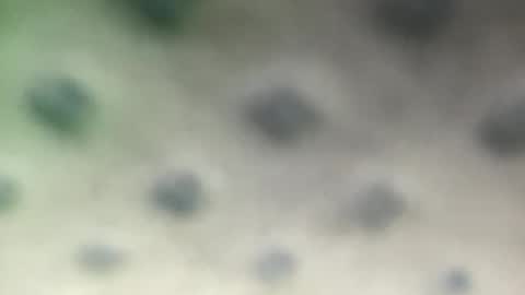 Snapshot of luquita094 chatting on 11/07/25, 11:54 luquita094 online show from 11/07/25, 11:54