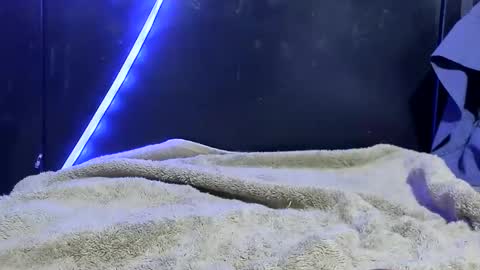 Snapshot of lurkus chatting on 12/21/25, 07:48 lurkus online show from 12/21/25, 07:48