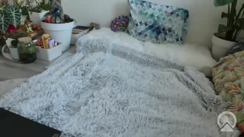 lustlnbalancevh online show from 01/19/26, 07:56