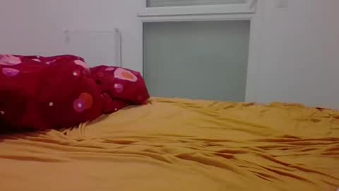 Snapshot of lutin181577185596 chatting on 03/08/26, 04:49 lutin181577185596 online show from 03/08/26, 04:49