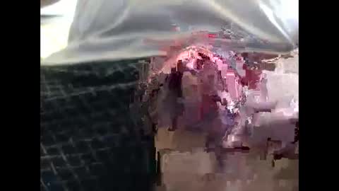 lutorres online show from 09/19/25, 11:55