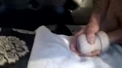 Snapshot of luvbiga554evr chatting on 11/05/25, 04:51 luvbiga554evr online show from 11/05/25, 04:51