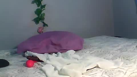 Bee Bee online show from 10/15/25, 03:50