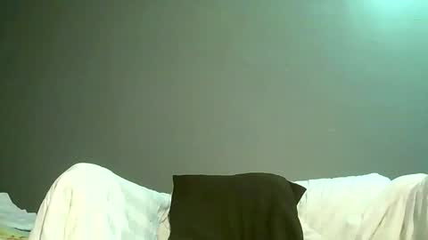 Snapshot of luvu4everxxx chatting on 05/27/26, 02:41 Bee Bee online show from 05/27/26, 02:41