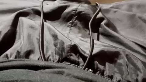 Lvac11 online show from 09/26/25, 11:25