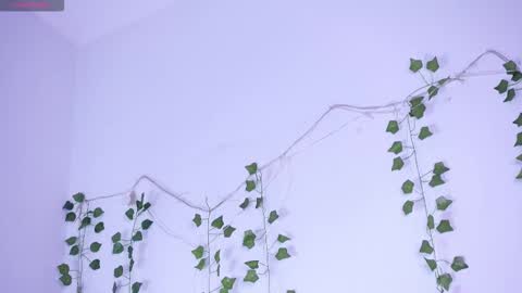 Snapshot of lyly_loveyou chatting on 01/12/26, 05:34 Lyly online show from 01/12/26, 05:34